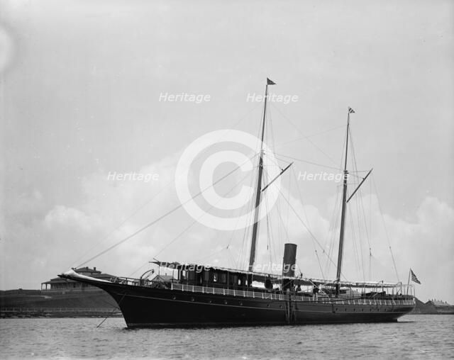 Narwhal, 1895 Aug 4. Creator: John S Johnston.