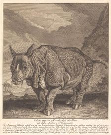 Nashorn Rhinoceros, 1748. Creator: Johann Elias Ridinger