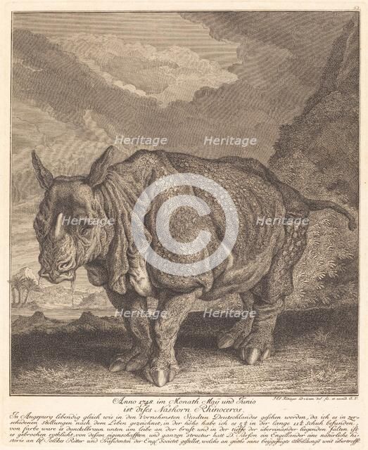 Nashorn Rhinoceros, 1748. Creator: Johann Elias Ridinger.
