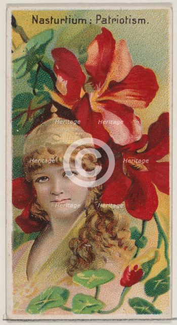 Nasturtium: Patriotism, from the series Floral Beauties and Language of Flowers (N75) for ..., 1892. Creator: Donaldson Brothers.