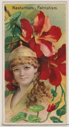 Nasturtium: Patriotism, from the series Floral Beauties and Language of Flowers (N75) for ..., 1892. Creator: Donaldson Brothers
