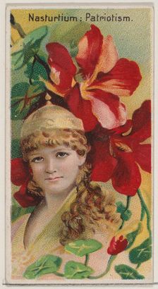 Nasturtium: Patriotism, from the series Floral Beauties and Language of Flowers (N75) for ..., 1892. Creator: Donaldson Brothers