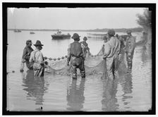 Net fishing, between 1909 and 1923. Creator: Harris & Ewing
