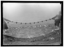 Net fishing, between 1909 and 1923. Creator: Harris & Ewing