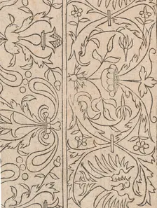 New Modelbüch allen Nägerin u. Sydenstickern (Page 15v), 1556. Creator: Hans Hoffman