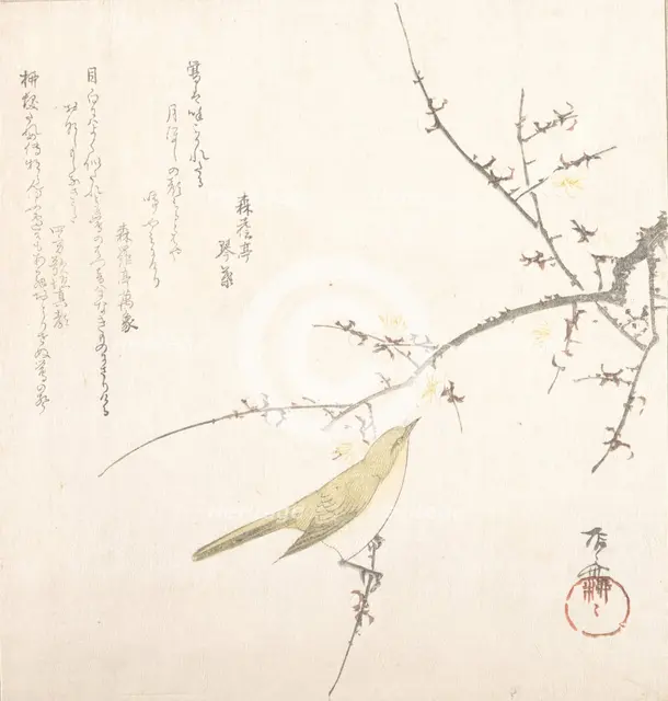 New Moon; Nightingale on a Plum Branch, 19th century., 19th century. Creator: Shinsai.
