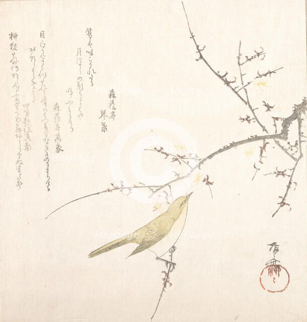 New Moon; Nightingale on a Plum Branch, 19th century., 19th century. Creator: Shinsai.