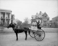 New Orleans milk cart, New Orleans, Louisiana, between 1900 and 1910. Creator: Unknown