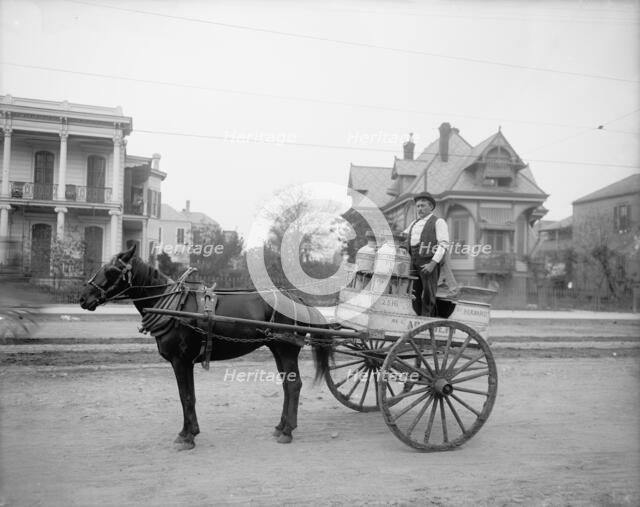 New Orleans milk cart, New Orleans, Louisiana, between 1900 and 1910. Creator: Unknown.