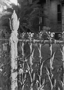 New Orleans photographs, 1935. Creator: Gottscho-Schleisner, Inc