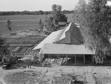 New barn under construction, Mineral King Farm Cooperative Association, Tulare County, CA, 1939. Creator: Dorothea Lange