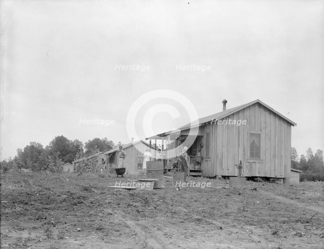 New cabins at Hill House, Mississippi, 1936. Creator: Dorothea Lange.