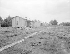 New cabins at Hill House, Mississippi, 1936. Creator: Dorothea Lange