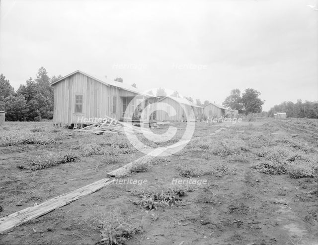 New cabins at Hill House, Mississippi, 1936. Creator: Dorothea Lange.
