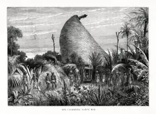 New Caledonian Native Hut southwest Pacific, 1877