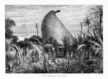 New Caledonian Native Hut southwest Pacific, 1877