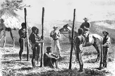 New Caledonians constructing a house; Some Account of New Caledonia 1875. Creator: Unknown