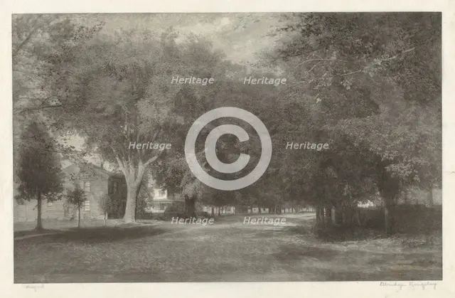 New England Elms, c. 1889-1890. Creator: Elbridge Kingsley.