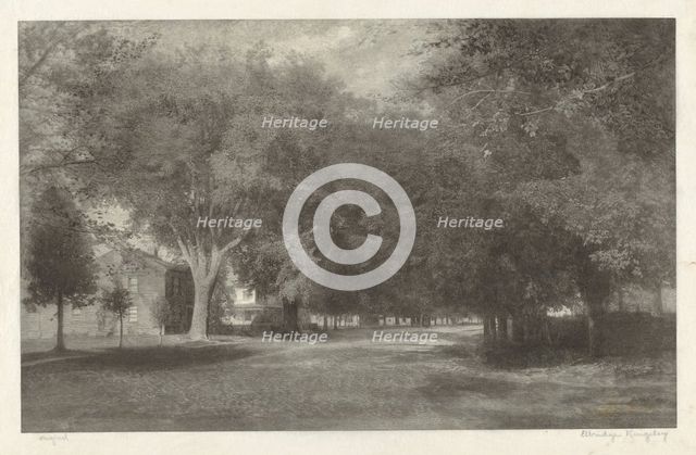 New England Elms, c. 1889-1890. Creator: Elbridge Kingsley.