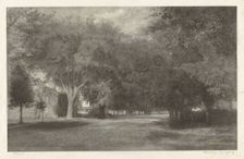 New England Elms, c. 1889-1890. Creator: Elbridge Kingsley
