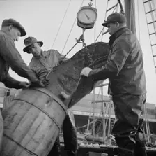 New England fishermen unloading fish at the Fulton fish market, New York, 1943. Creator: Gordon Parks