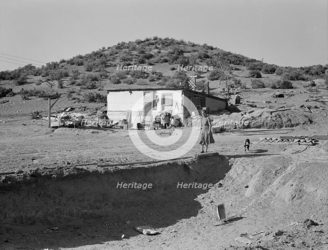 New farm in Cow Hollow, Malheur County, Oregon, 1939. Creator: Dorothea Lange.
