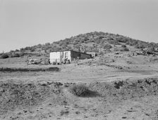 New farm in Cow Hollow, Malheur County, Oregon, 1939. Creator: Dorothea Lange