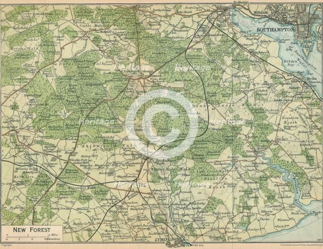 'New Forest', c20th Century. Artist: John Bartholomew.