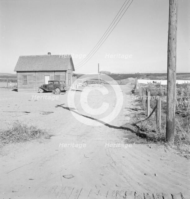 New home of Schroeder family, Dead Ox Flat, Malheur County, Oregon, 1939. Creator: Dorothea Lange.