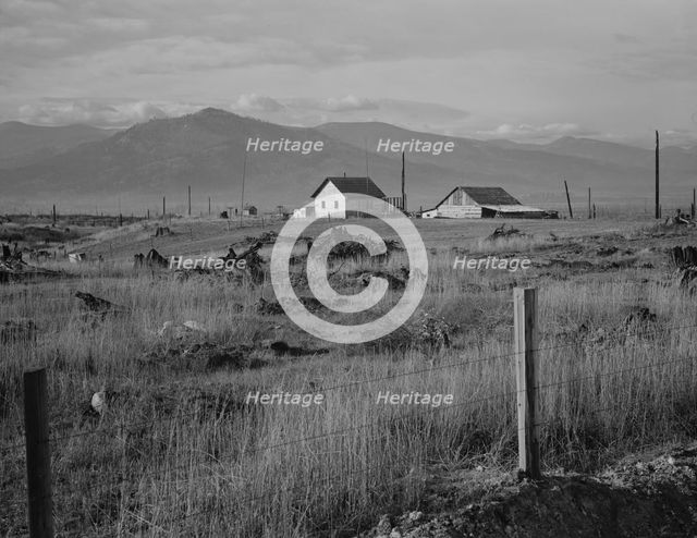 New home, new fence, newly cleared land of farme..., Priest River Valley, Bonner County, Idaho, 1939 Creator: Dorothea Lange.