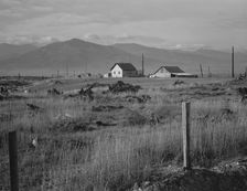 New home, new fence, newly cleared land of farme..., Priest River Valley, Bonner County, Idaho, 1939 Creator: Dorothea Lange