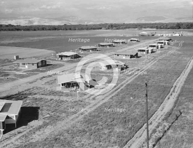 New homes for families on the Mineral King cooperative farms, Tulare County, California, 1939. Creator: Dorothea Lange.