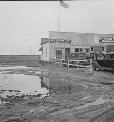 New large-scale cotton farming district, Buttonwillow, California , 1939. Creator: Dorothea Lange