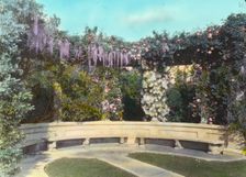 "New Place," William Henry Crocker house, 80 New Place Road, Hillsborough, California, 1917. Creator: Frances Benjamin Johnston