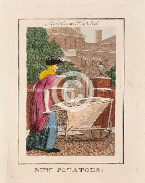 'New Potatoes', Cries of London, 1804. Artist: Anon