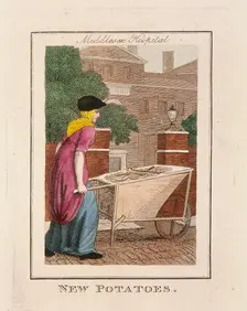 New Potatoes Cries of London, 1804. Artist: Anon