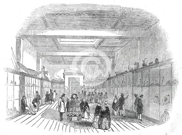 New room at the British Museum, 1845. Creator: Unknown.