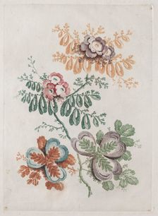 New Suite of Portfolios of Flowers Ideal to Use for Designing and Painting: Floral Fantasies, c. 179 Creator: Anne Allen (British)