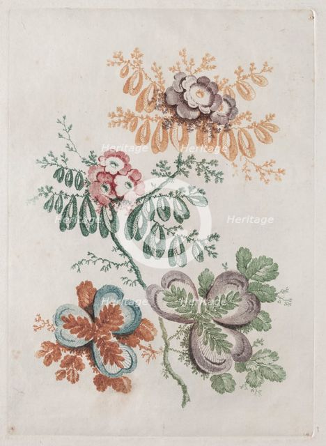 New Suite of Portfolios of Flowers Ideal to Use for Designing and Painting: Floral Fantasies, c. 179 Creator: Anne Allen (British).