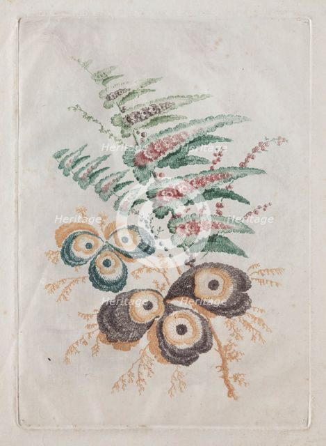 New Suite of Portfolios of Flowers Ideal to Use for Designing and Painting: Floral Fantasies, c. 179 Creator: Anne Allen (British).