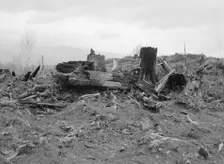 New settlers shack at foot of hills on poor sandy soil, Boundary County, Idaho, 1939. Creator: Dorothea Lange