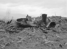 New settlers shack at foot of hills on poor sandy soil, Boundary County, Idaho, 1939. Creator: Dorothea Lange