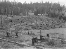 New settlers shack at foot of hills on poor sandy soil, Boundary County, Idaho, 1939. Creator: Dorothea Lange