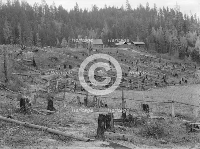 New settlers shack at foot of hills on poor sandy soil, Boundary County, Idaho, 1939. Creator: Dorothea Lange.