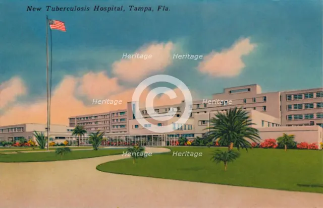 'New Tuberculosis Hospital, Tampa, Fla.', c1940s. Artist: Unknown.
