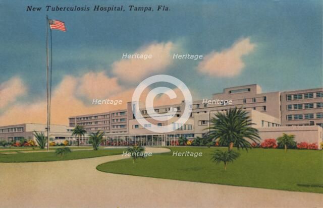 'New Tuberculosis Hospital, Tampa, Fla.', c1940s. Artist: Unknown.