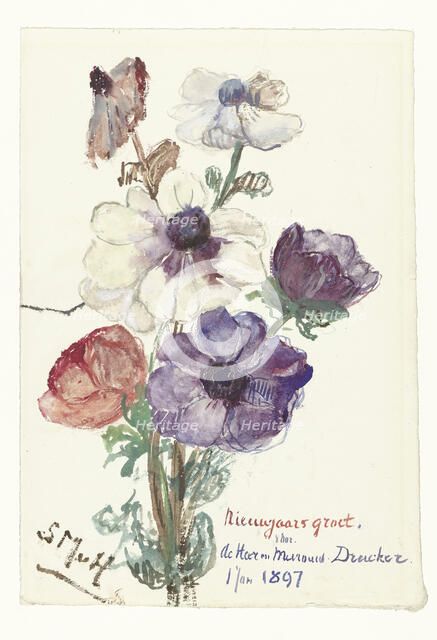 New Year greeting with anemones, 1896-1897. Creator: Sina Mesdag van Houten.