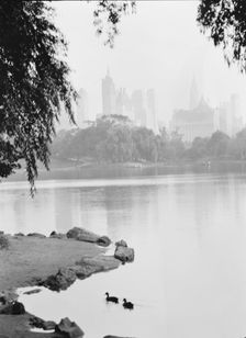 New York City views, Central Park, between 1931 and 1938. Creator: Arnold Genthe
