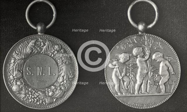 New York City - Medal of the School Nature League , 1921. Creator: Frances Benjamin Johnston.