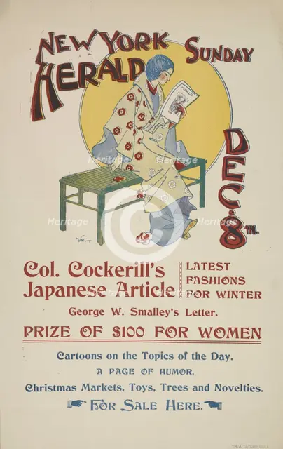 New York Sunday herald. Dec. 8th., c1895. Creator: Charles Hubbard Wright.